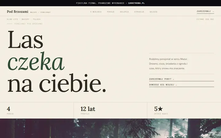 Przykładowa strona internetowa — Pensjonat / agroturystyka: Pod Brzozami